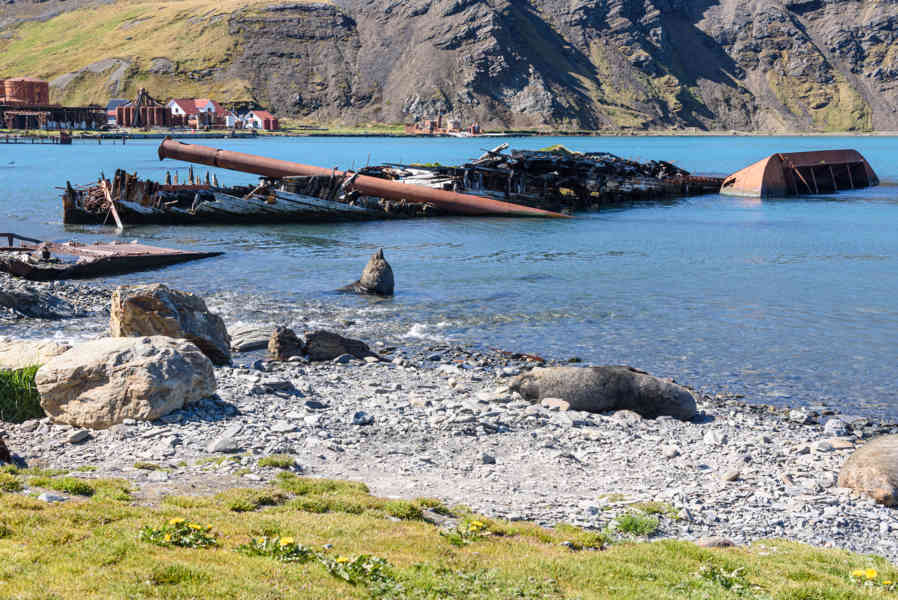 Islas Georgias del Sur 037 - Grytviken - Harpon Jetty.jpg